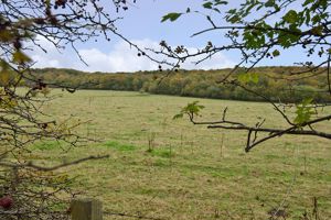 Photo 18- click for photo gallery